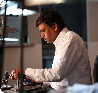 Mumbai Office